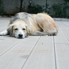 Collection image for: Pet Care