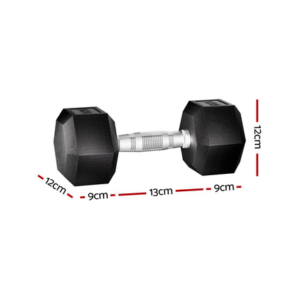 Everfit 20kg Hex Dumbbells Set Dumbbells Weights Lifting Bench Gym Workout 2x10kg 2