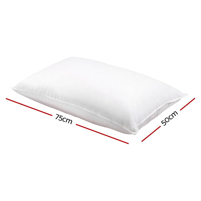 Giselle Bedding Goose Feather Down Pillow Twin Pack 2