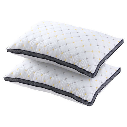 Giselle 2pcs Pillows Microfibre 7