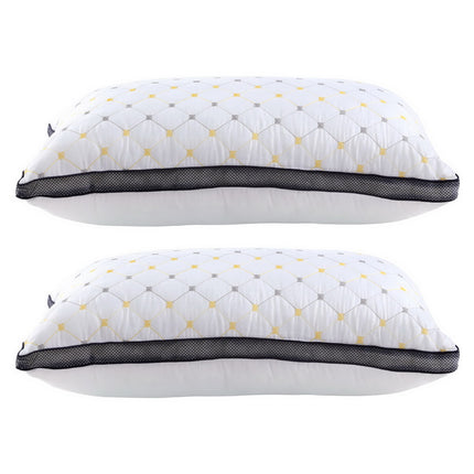 Giselle 2pcs Pillows Microfibre 3