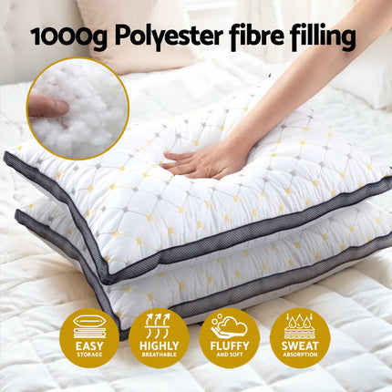 Giselle 2pcs Pillows Microfibre 4