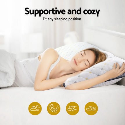 Giselle 2pcs Pillows Microfibre 6