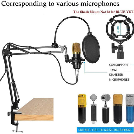 Microphone Radio Broadcasting Stand with 3/8"to 5/8" Screw Adapter and Windscreen Pop Filter 6