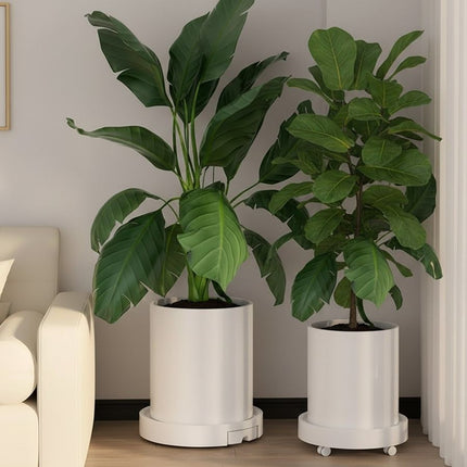 CARLA HOME 2-Pack Rolling Plant Stand with 360° Wheels for Indoor Pots (26 cm) 2
