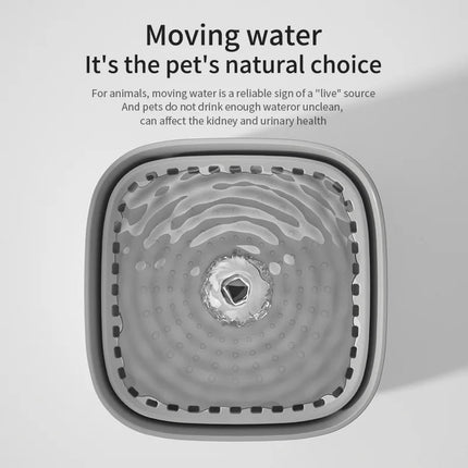 3L Cat Water Fountain Large Filter USB 4