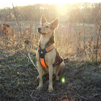 Reflective Heavy Duty Harness Orange XL 3
