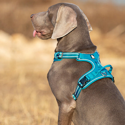 No Pull Harness Blue S 4