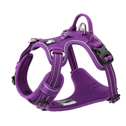 No Pull Harness Purple S 2