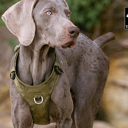 Lightweight Harness Army Green L 4