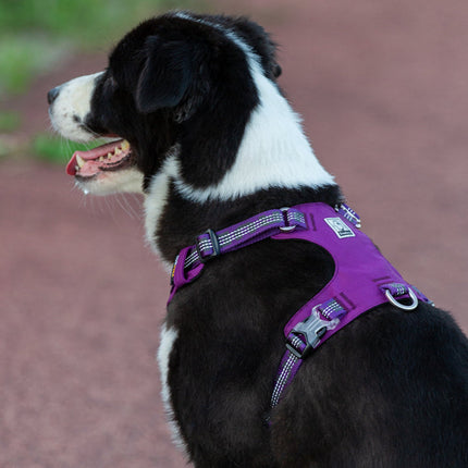 Lightweight 3M reflective Harness Purple L 4