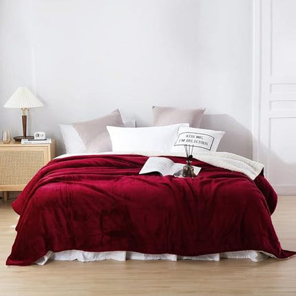 Double-side Flannel Heated Electric Throw Blanket Fast Heating Warm Washable red 5