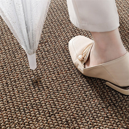Premium Entrance Door Carpet 120x80cm Sole Cleaning Mats Sand and Dust Removal Washable 3