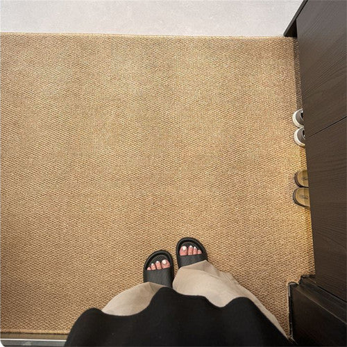 Ordinary Entrance Door Carpet 120x80cm Sole Cleaning Mats Sand and Dust Removal Washable 2