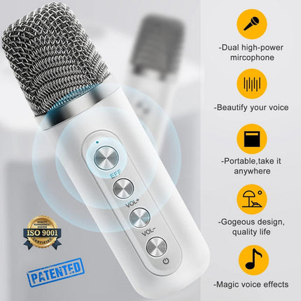 Sliver Karaoke Machine with 2 Wireless Microphones Bluetooth-Compatible 5.0 for Parties 2