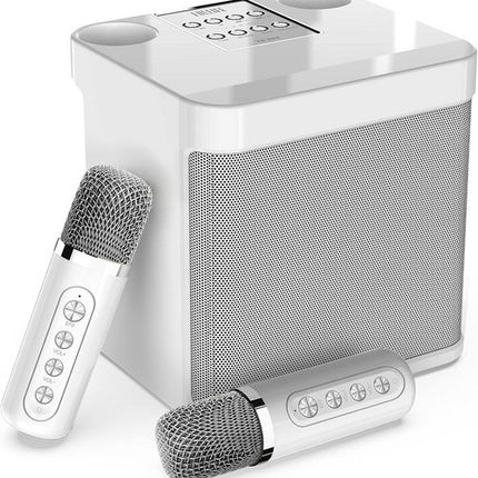Sliver Karaoke Machine with 2 Wireless Microphones Bluetooth-Compatible 5.0 for Parties 5