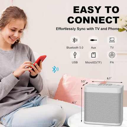 Sliver Karaoke Machine with 2 Wireless Microphones Bluetooth-Compatible 5.0 for Parties 6