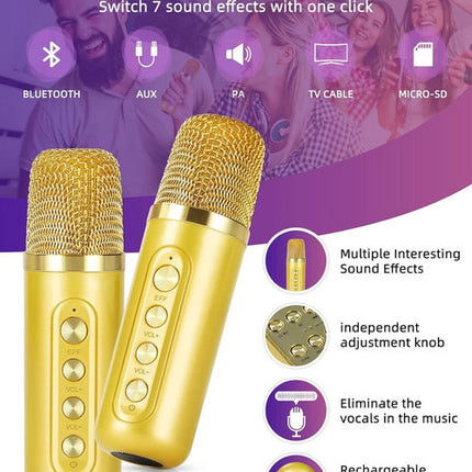Gold Karaoke Machine with 2 Wireless Microphones Bluetooth-Compatible 5.0 for Parties 2