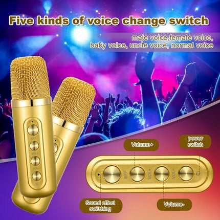 Gold Karaoke Machine with 2 Wireless Microphones Bluetooth-Compatible 5.0 for Parties 3
