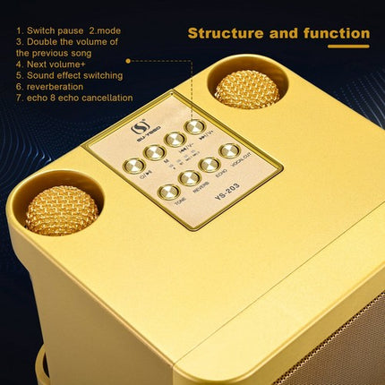 Gold Karaoke Machine with 2 Wireless Microphones Bluetooth-Compatible 5.0 for Parties 4