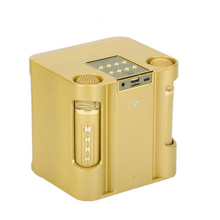 Gold Karaoke Machine with 2 Wireless Microphones Bluetooth-Compatible 5.0 for Parties 5