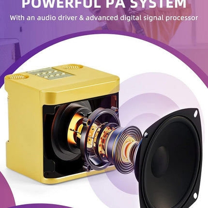 Gold Karaoke Machine with 2 Wireless Microphones Bluetooth-Compatible 5.0 for Parties 6