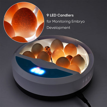 9 Egg Incubator Semi-Automatic Digital Temperature Chicken Duck Eggs Poultry 3