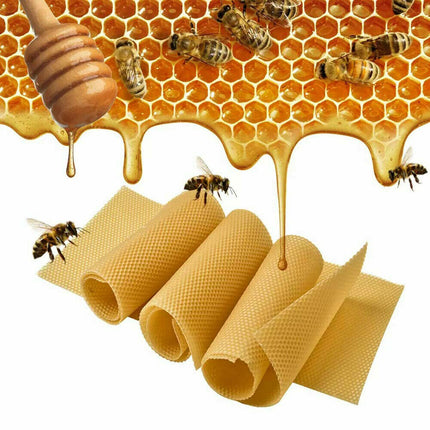 30Pcs Bee Hive Wax Honeycomb Bee Hives Beekeeping Equipment Frames Foundation 8