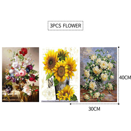 3PCS 5D Diamond Painting Kits Diamond Glue Art Kit Paint for Adults Kids DIY Gift 40x30cm 2