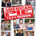 American Pie Quadrilogy - American Pie / American Pie 2 / American Pie - The Wedding / American Pie DVD