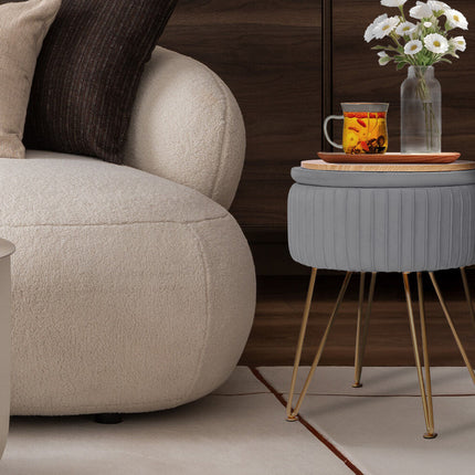 Side Table Storage Ottoman - Velvet Padded Stool Vanity Footstool REMY GREY 2