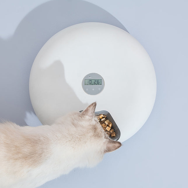 6 Meal Automatic Pet Dog Cat Food Feeder Dispenser with Programmable Timer White 2
