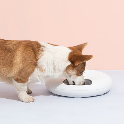 6 Meal Automatic Pet Dog Cat Food Feeder Dispenser with Programmable Timer White 3