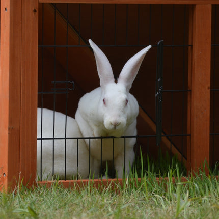 YES4PETS Double Storey Rabbit Hutch Guinea Pig Cage , Ferret cage W Pull Out Tray 3