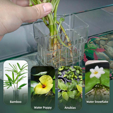 2pc Aquarium Plant Holder Clear Hanging Aquatic Planters with Hooks for Fish Tank Decor 6