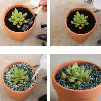 10x 6cm Flower Pot Pots Clay Ceramic Plant Drain Hole Succulent Cactus Nursery Planter 6