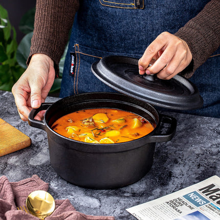 24cm Pre-seasoned NonStick Cast Iron Dutch Oven Handles Lid Skillet Cookware Braising Pot Pan Casserole 4