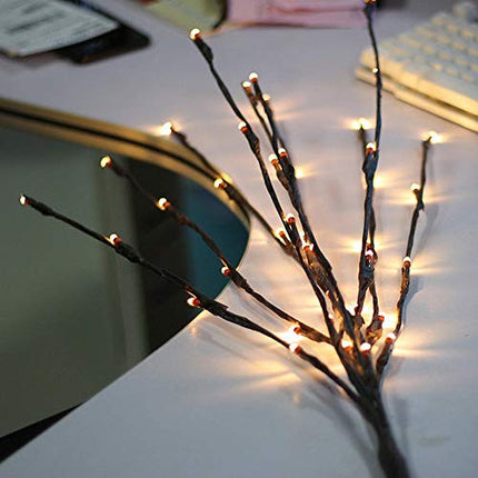 LED Light Bunch Stem - Warm White BATTERY fairy lights - 50cm high 20 bulbs/petals 2