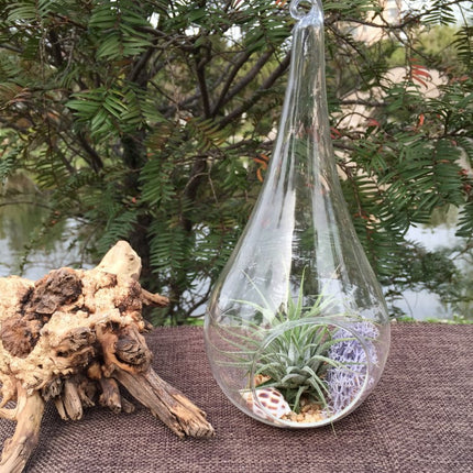 4 Pack of Hanging Clear Glass Tealight Candle Holder Tear Drop Pear Hour Glass Shape - 20cm High Terrarium Plant Mini Garden Holder Decoration Craft Gift 5