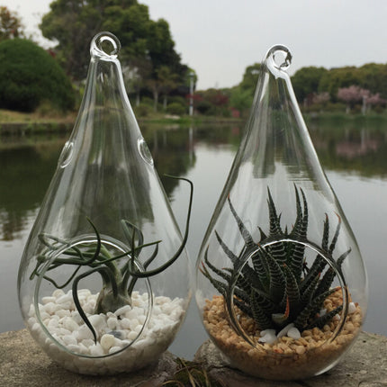 4 Pack of Hanging Clear Glass Tealight Candle Holder Tear Drop Pear Hour Glass Shape - 20cm High Terrarium Plant Mini Garden Holder Decoration Craft Gift 6