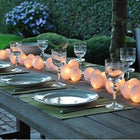 20 White 5cm Ball battery string LED - wedding party home event decoration