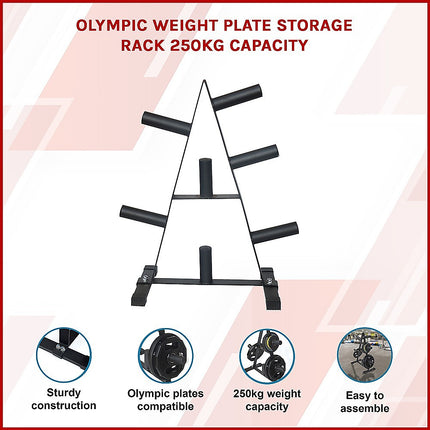 Olympic Weight Plate Storage Rack 250kg Capacity 6