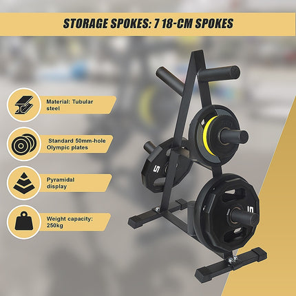 Olympic Weight Plate Storage Rack 250kg Capacity 7