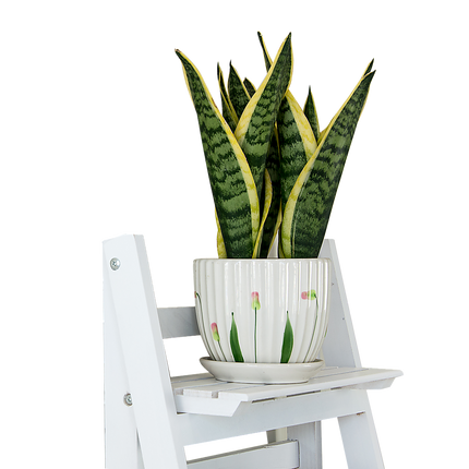 5 Tier Wooden Ladder Shelf Stand Storage Book Shelves Shelving Display Rack 6