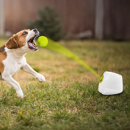 Dog Ball Launcher Thrower Automatic Tennis Fetch Throwing Machine 3 Balls 2