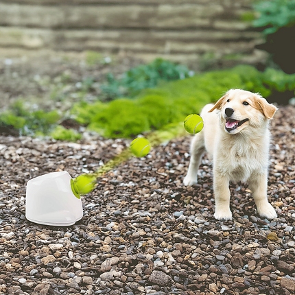 Dog Ball Launcher Thrower Automatic Tennis Fetch Throwing Machine 3 Balls 6