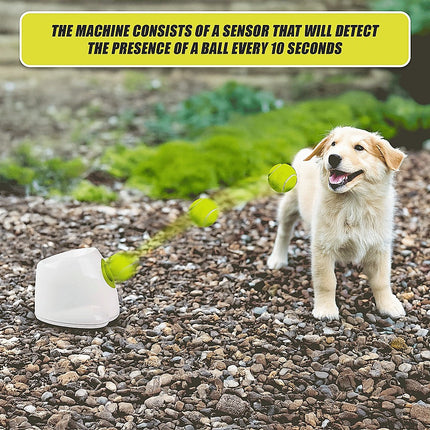 Dog Ball Launcher Thrower Automatic Tennis Fetch Throwing Machine 3 Balls 11