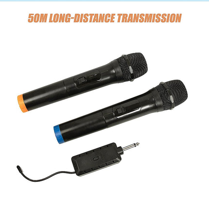 2 x Wireless Microphone Handheld Cordless Professional Mic Karaoke Receiver 11