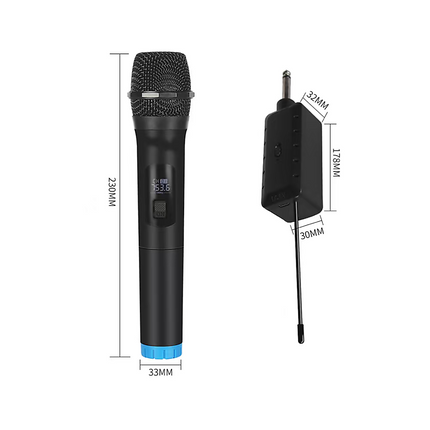 2 x Wireless Microphone Handheld Cordless Professional Mic Karaoke Receiver 12