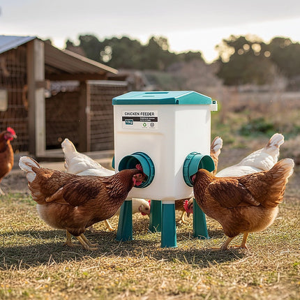 Chicken Feeder Water Food Treadle Poultry Feeding 12KG Large Capacity 11L 2